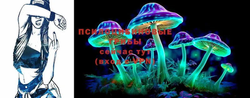 omg   где продают   Енисейск  Галлюциногенные грибы Magic Shrooms 